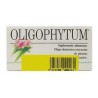 OLIGOPHYTUM H12 SOU AZUFRE 100GRA 