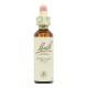 WILD OAT 20ML FLORES DE BACH