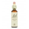 WILD OAT 20ML FLORES DE BACH