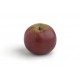 MANZANA CANTABRIA ECO KG