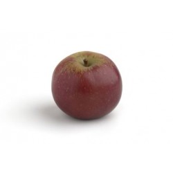 MANZANA CANTABRIA ECO KG