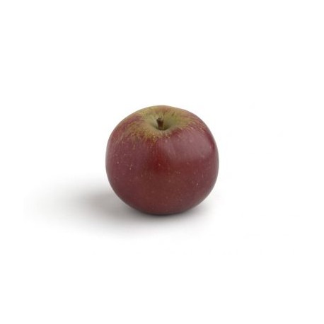 MANZANA CANTABRIA ECO KG