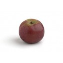 MANZANA CANTABRIA ECO KG