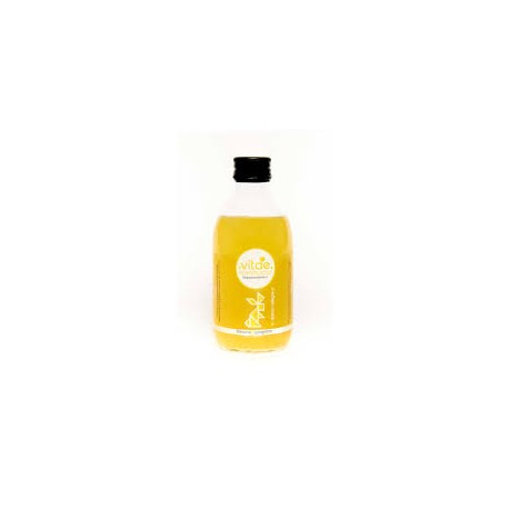 KOMBUCHA LIMON Y JENGIBRE 250ML ECO VITAE