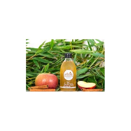 KOMBUCHA MANZANA Y CANELA 250ML ECO VITAE