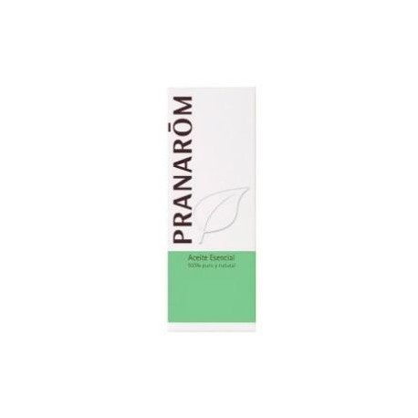 ACEITE ESENCIAL VETIVER 5ML PRANAROM