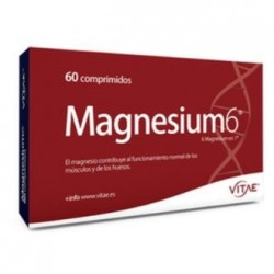 MAGNESIUM-6 60COMP VITAE