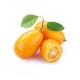 KUMQUAT KG ECO