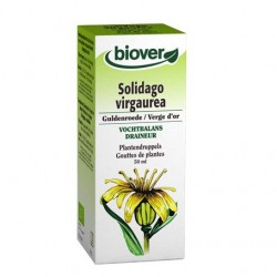 EXTRACTO  VARA DE ORO 50ML BIOVER