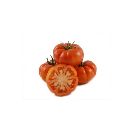 TOMATE REBELION ECO KG