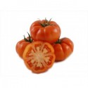 TOMATE REBELION ECO KG