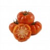 TOMATE REBELION ECO KG