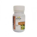 GINKGO BILOBA 100CAP SOTYA