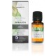 ACEITE ESENCIAL ESTRAGON 5ML ECO TERPENIC