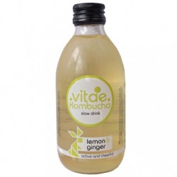 KOMBUCHA JENGIBRE 250ML ECO VITAE