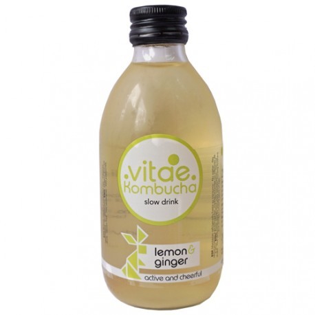 KOMBUCHA JENGIBRE 250ML ECO VITAE