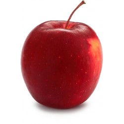 MANZANA ROJA STORY ECO KG 