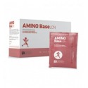 AMINO BASE 30 SOBRES