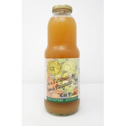 ZUMO PARAGUAYO Y UVA 1 L ECO CALVALLS