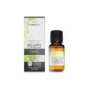 ACEITE ESENCIAL EUCALIPTO CITRIODORA 10ML ECO TERPENIC LABS