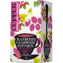 INFUSION ARANDANO Y FRAMBUESA BIO 20 BOLSAS ECO CUPPER