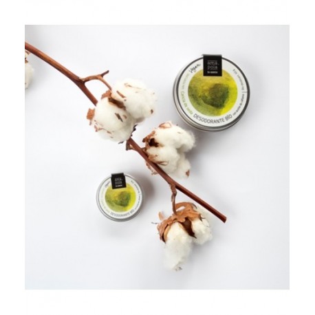 DESODORANTE SOLIDO CARICIA DE SEDA 15G ECO AMAPOLA 
