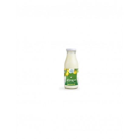 KEFIR UP CABRA LIMON 500G ECO CANTERO DE LETUR
