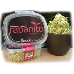 GERMINADOS DE RABANITO CHINA ROSE 60G ECO KIMUAK