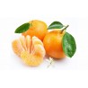MANDARINA ECO KG