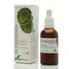 EXTR-ALCACHOFA 50ML SORIA NATURAL