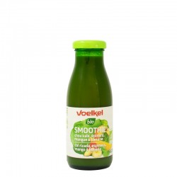 SMOOTHIE VERDE MANGO KALE ESPINACAS 250ML ECO VOELKEL