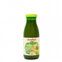 SMOOTHIE VERDE MANGO KALE ESPINACAS 250ML ECO VOELKEL