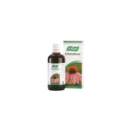 ECHINAFORCE 50ML A.VOGEL